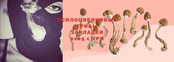 прущие крисы Алексин