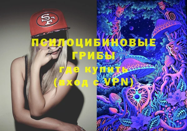 прущие крисы Алексин