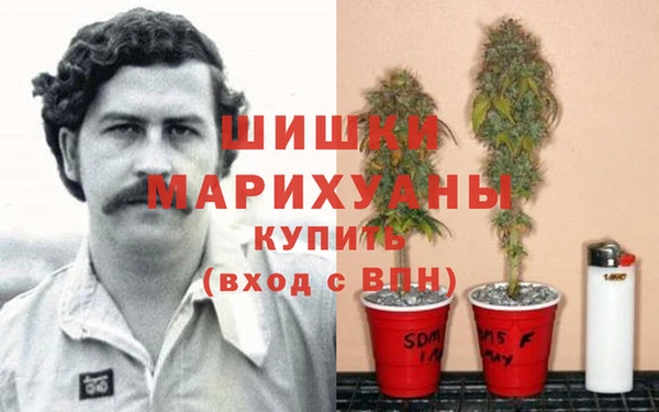 амф Алексеевка