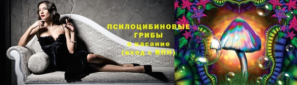 прущие крисы Алексин