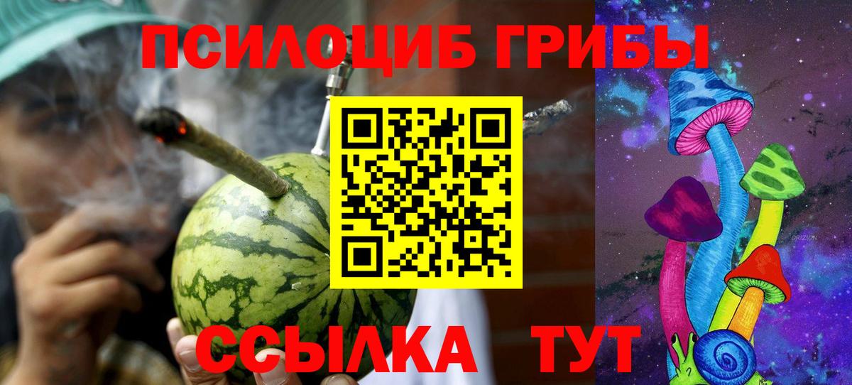 Галлюциногенные грибы Psilocybine cubensis Ипатово
