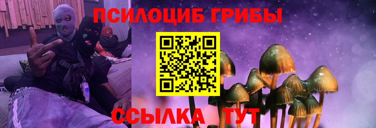 Ипатово  Псилоцибиновые грибы Magic Shrooms  Псилоцибиновые грибы Cubensis  Вход с VPN 